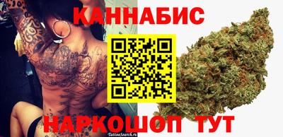 ПСИЛОЦИБИНОВЫЕ ГРИБЫ Камышлов