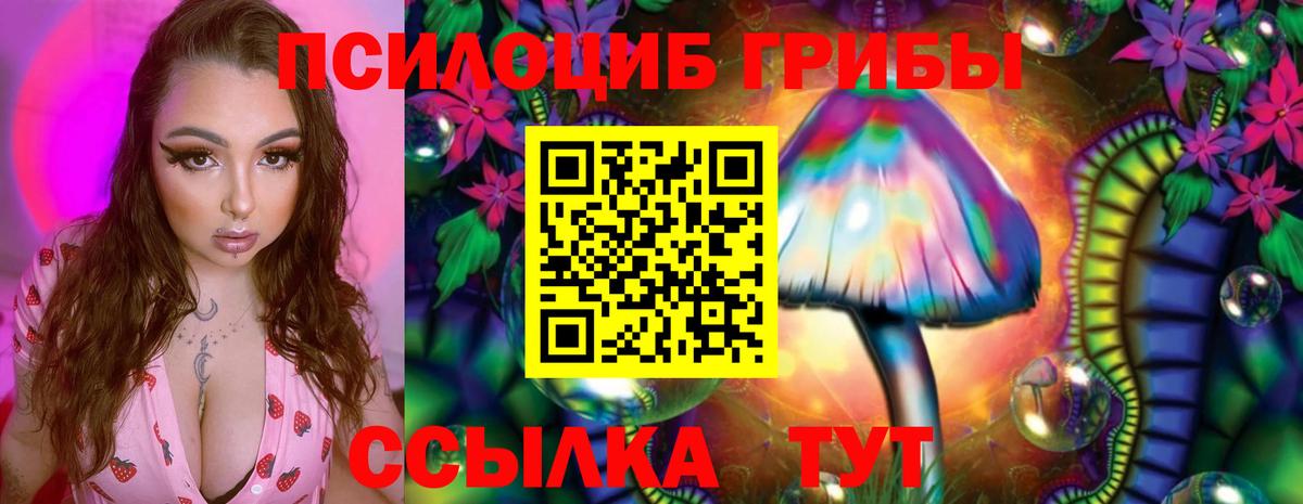 Благовещенск  Псилоцибиновые грибы мухоморы  продажа наркотиков  Вход с VPN  Псилоцибиновые грибы прущие грибы 