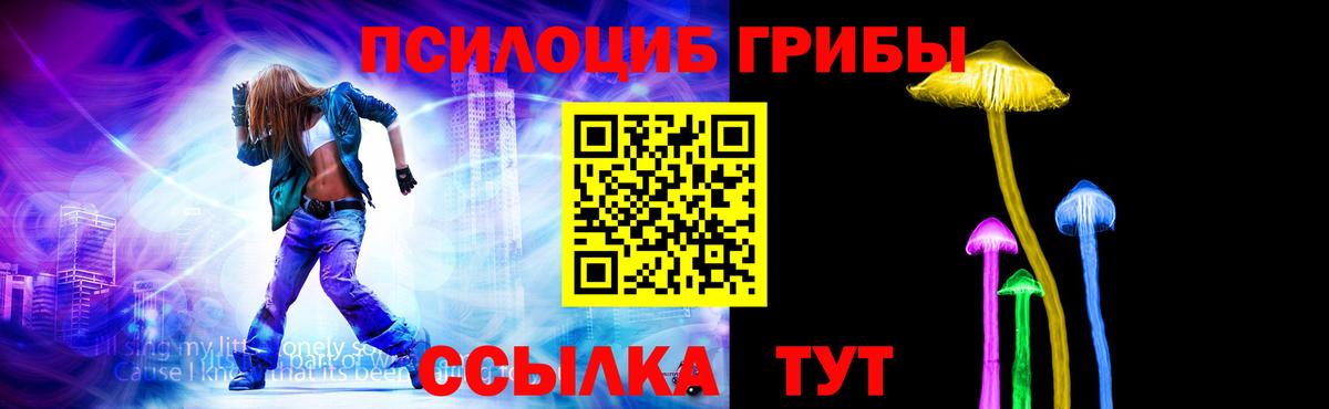 Галлюциногенные грибы Psilocybe Благовещенск